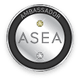 Ambassador Diamond Executives Pin