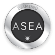 Diamond Executives Pin