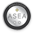 Ambassador Double Diamond Executives Pin