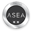 Double Diamond Executives Pin