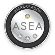 Ambassador Triple Diamond Executives Pin